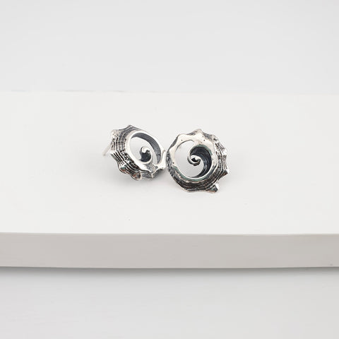 Spiral shell post earrings